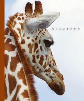 Library Binding Giraffes Book