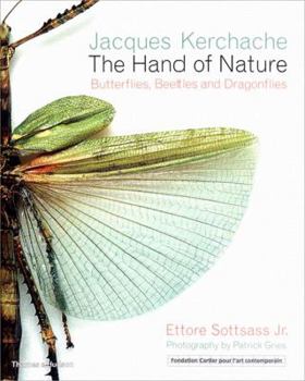 Hardcover The Hand of Nature: Butterflies, Beetles, and Dragonflies Book