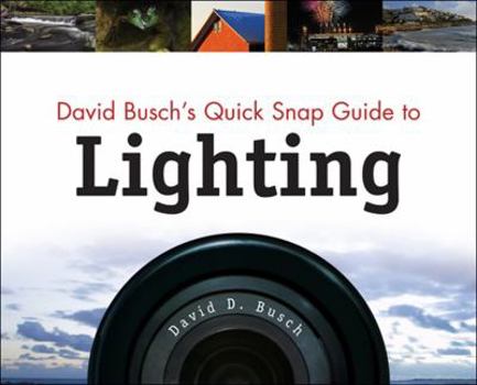 Paperback David Busch's Quick Snap Guide to Lighting Book