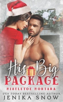 His Big Package (Mistletoe Montana, 4)