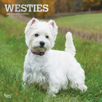 Calendar West Highland White Terriers 2021 Square Foil Book