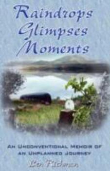 Raindrops, Glimpses, Moments: An Unconventional Memoir of an Unplanned Journey