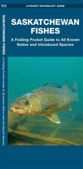 Paperback Saskatchewan Fishes: A Folding Pocket Guide to All Known Natuve and Introduced Species Book