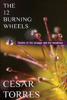 Paperback The 12 Burning Wheels Book