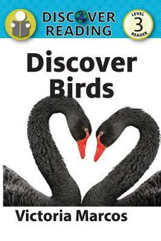 Paperback Discover Birds Book