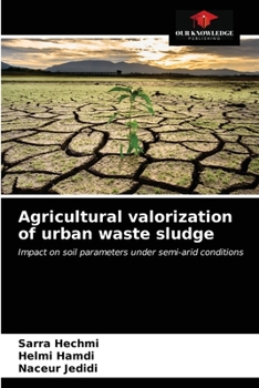 Paperback Agricultural valorization of urban waste sludge Book