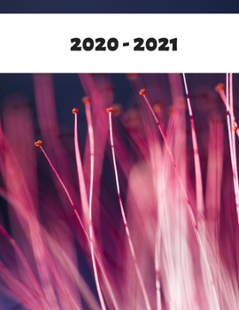 Paperback 2020-2021: Monthly Planner 2020-2021 Book
