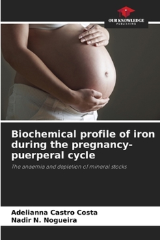 Paperback Biochemical profile of iron during the pregnancy-puerperal cycle Book