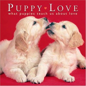 Hardcover Puppy Love: What Puppies Teach Us about Love Book