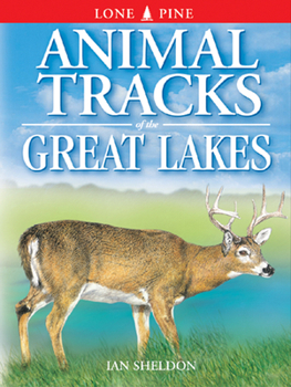 Paperback Animal Tracks of the Great Lakes Book