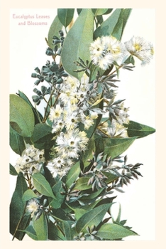 Paperback The Vintage Journal Eucalyptus Blossoms Book