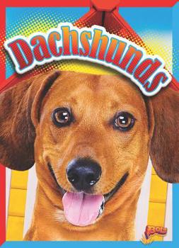 Paperback Dachshunds Book