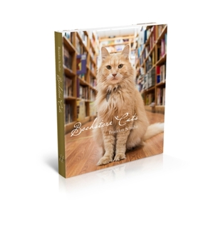 Hardcover Bookstore Cats Book