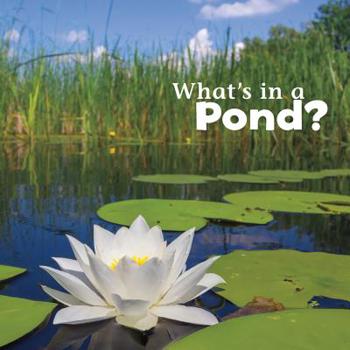 Hardcover What's in a Pond? Book