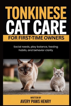 Tonkinese Cat Care for First-Time Owners: Social needs, play balance, feeding habits, and behavior clarity