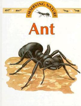 Hardcover Ant Book
