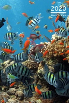 2020 A5 Diary Week To View Planner For All Occasions: | Year Planner For Business, Office, Home, University, College, School, Appointments, Organizer.