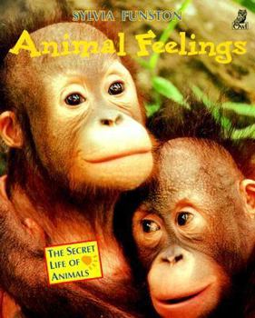 Paperback Animal Feelings Book