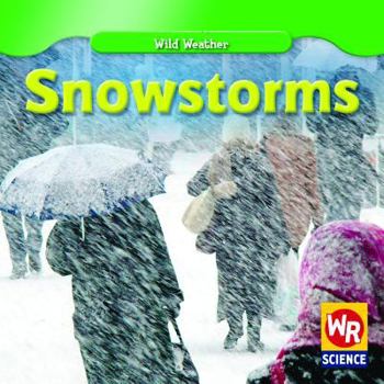 Paperback Snowstorms Book