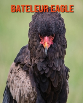 Paperback Bateleur Eagle: Amazing Facts & Pictures Book