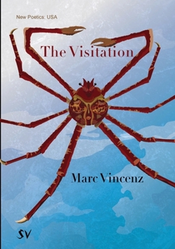 Paperback The Visitation Book