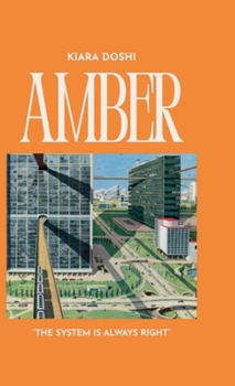 Hardcover Amber Book