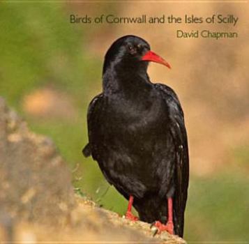 Paperback Birds of Cornwall and the Isles of Scilly Book