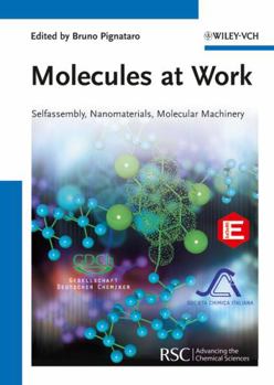 Hardcover Molecules at Work: Selfassembly, Nanomaterials, Molecular Machinery Book