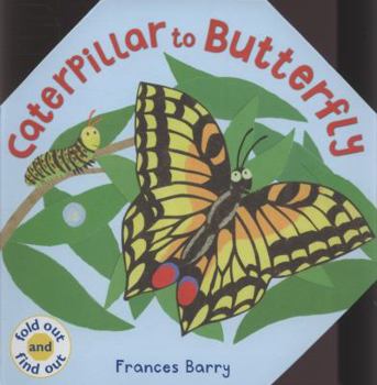 Hardcover Caterpillar to Butterfly. Frances Barry Book