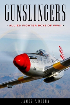 Hardcover Gunslingers: Allied Fighter Boys of WWII Book