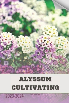 Alyssum Cultivating: Become flowers expert