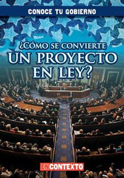 Como Se Convierte Un Proyecto En Ley? (How Does a Bill Become a Law?)