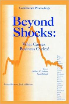Paperback Beyond Shocks: What Causes Business Cycles Book