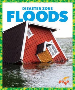 Floods - Book  of the Disaster Zone