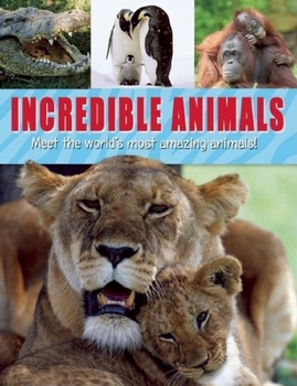 Spiral-bound Incredible Animals Book