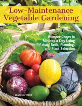 Paperback Low-Maintenance Vegetable Gardening: Bumper Crops in Minutes a Day Using Raised Beds, Planning, and Plant Selection Book
