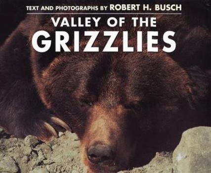 Hardcover Valley of the Grizzlies Book