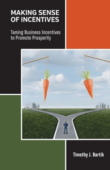 Paperback Making Sense of Incentives: Taming Business Incentives to Promote Prosperity Book