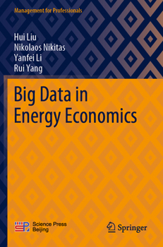 Paperback Big Data in Energy Economics Book