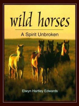 Hardcover Wild Horses: A Spirit Unbroken Book