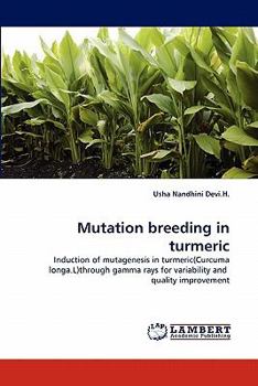 Paperback Mutation breeding in turmeric Book