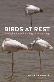 Hardcover Birds at Rest: The Behavior and Ecology of Avian Sleep Book