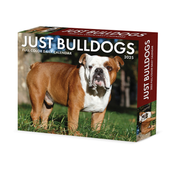 Calendar Bulldogs 2025 6.2 X 5.4 Box Calendar Book