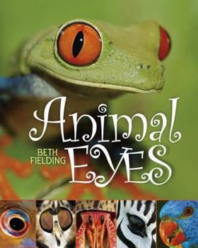 Hardcover Animal Eyes Book