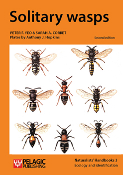 Paperback Solitary wasps Book