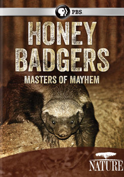 DVD Nature: Honey Badgers - Masters of Mayhem Book