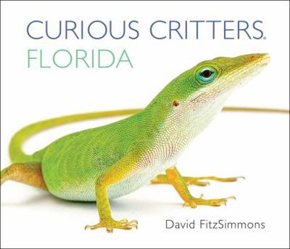 Board book Curious Critters Florida Book