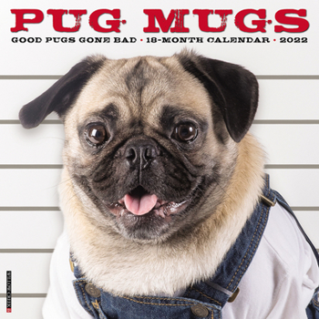 Calendar Pug Mugs 2022 Wall Calendar (Dog Breed) Book