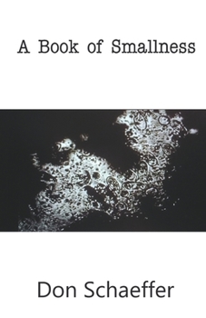 Paperback A Book of Smallness Book