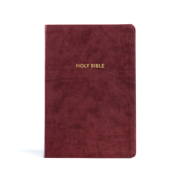 Imitation Leather KJV Rainbow Study Bible, Burgundy Leathertouch Book